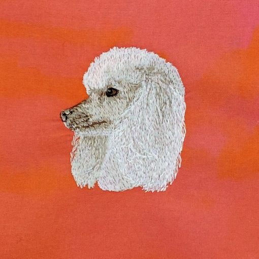 Fehér uszkár | Poodle