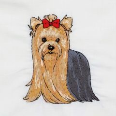 Yorkshire terrier