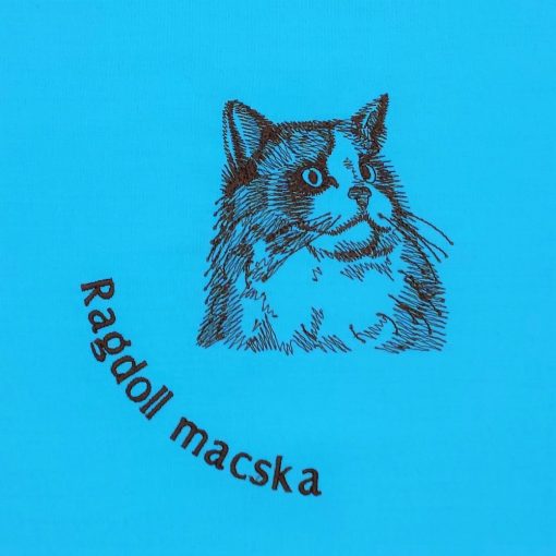 Ragdoll macska